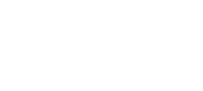 Options Travel